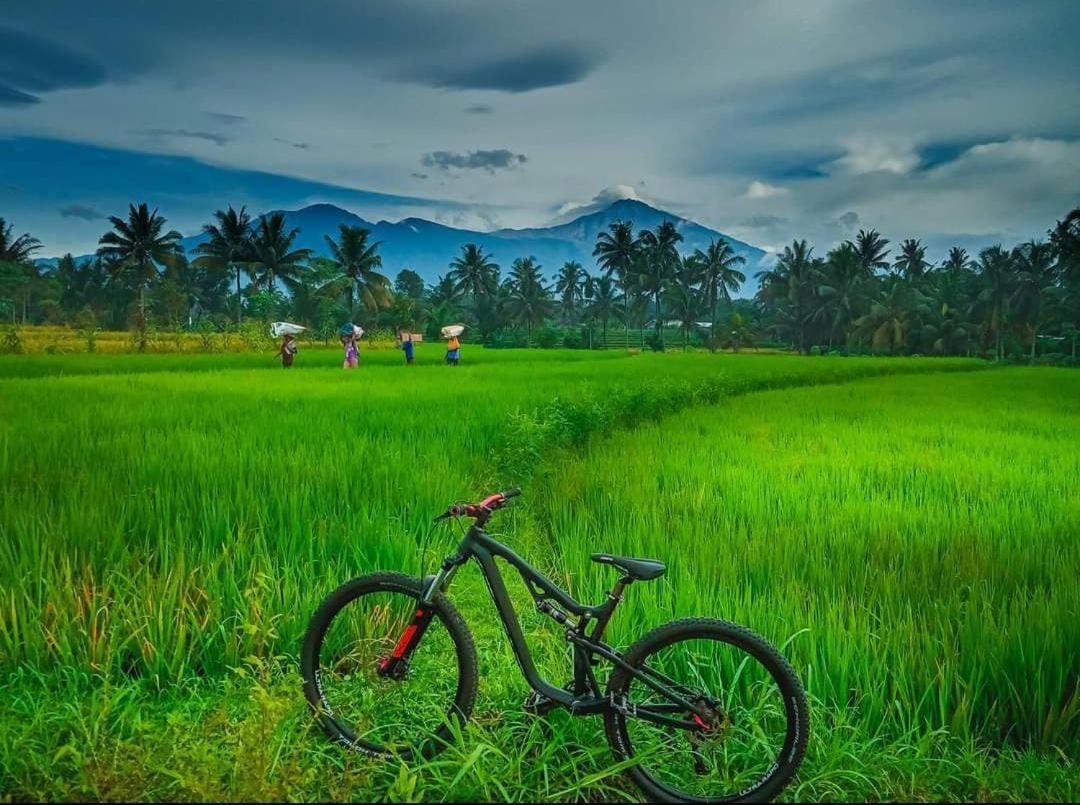 Peraja Bungalows Loyok Sangyang Esterno foto