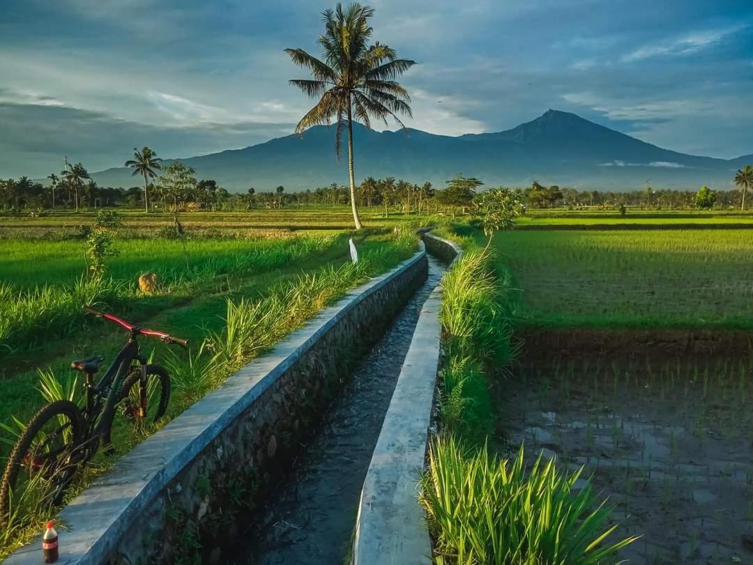Peraja Bungalows Loyok Sangyang Camera foto