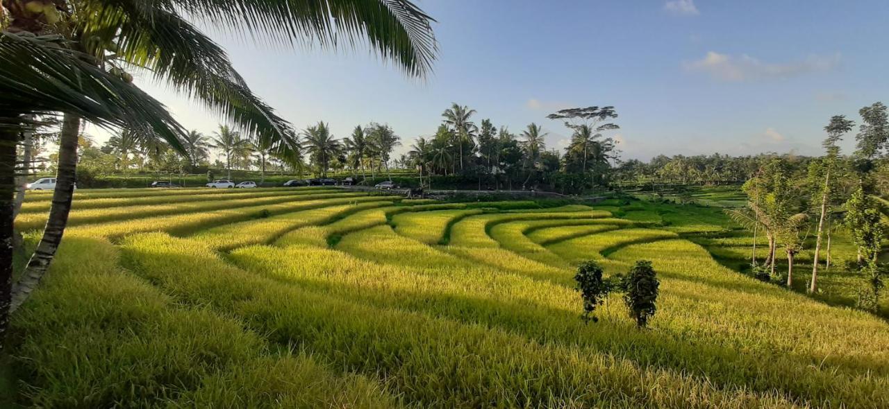 Peraja Bungalows Loyok Sangyang Esterno foto